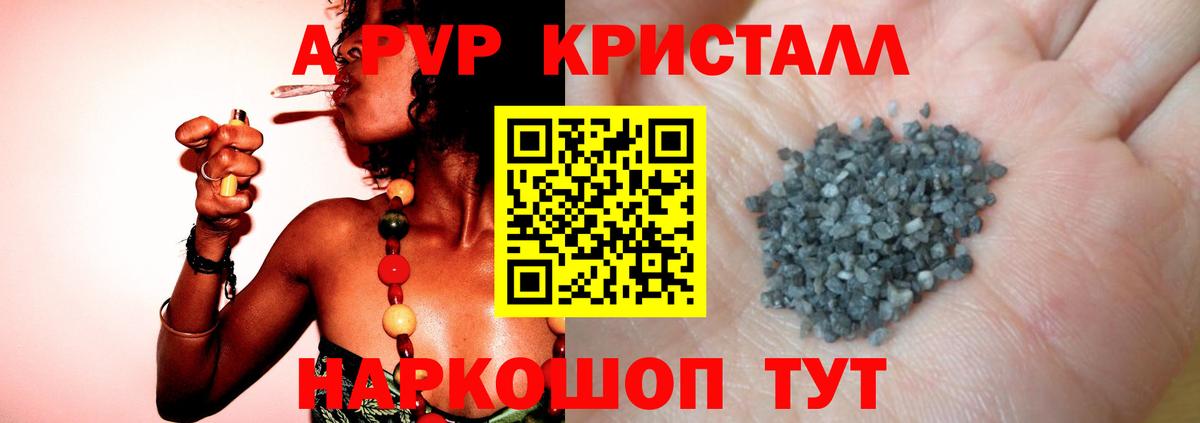 Alfa_PVP СК КРИС Сочи