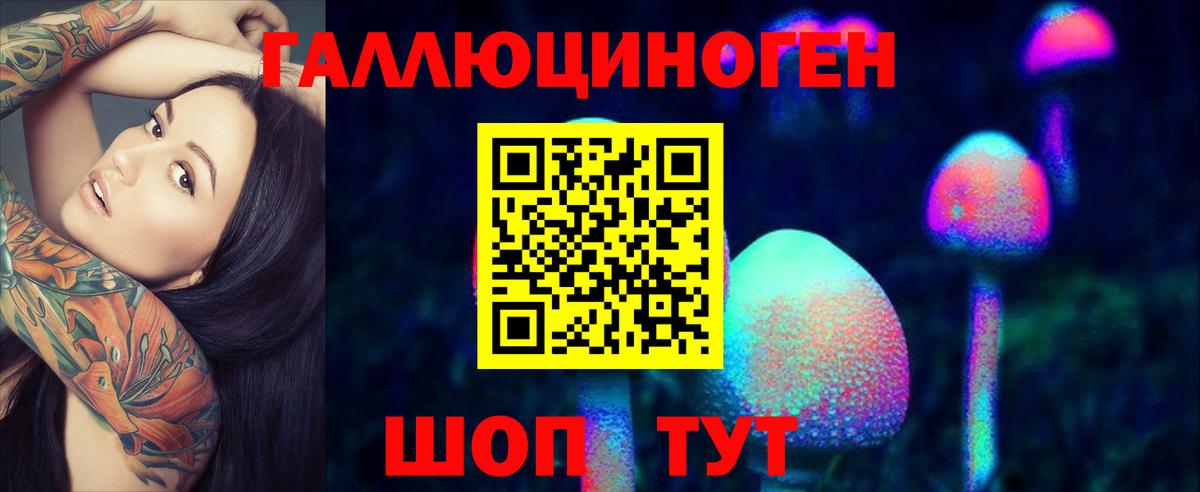 Галлюциногенные грибы Cubensis  Вход с VPN  Сочи 